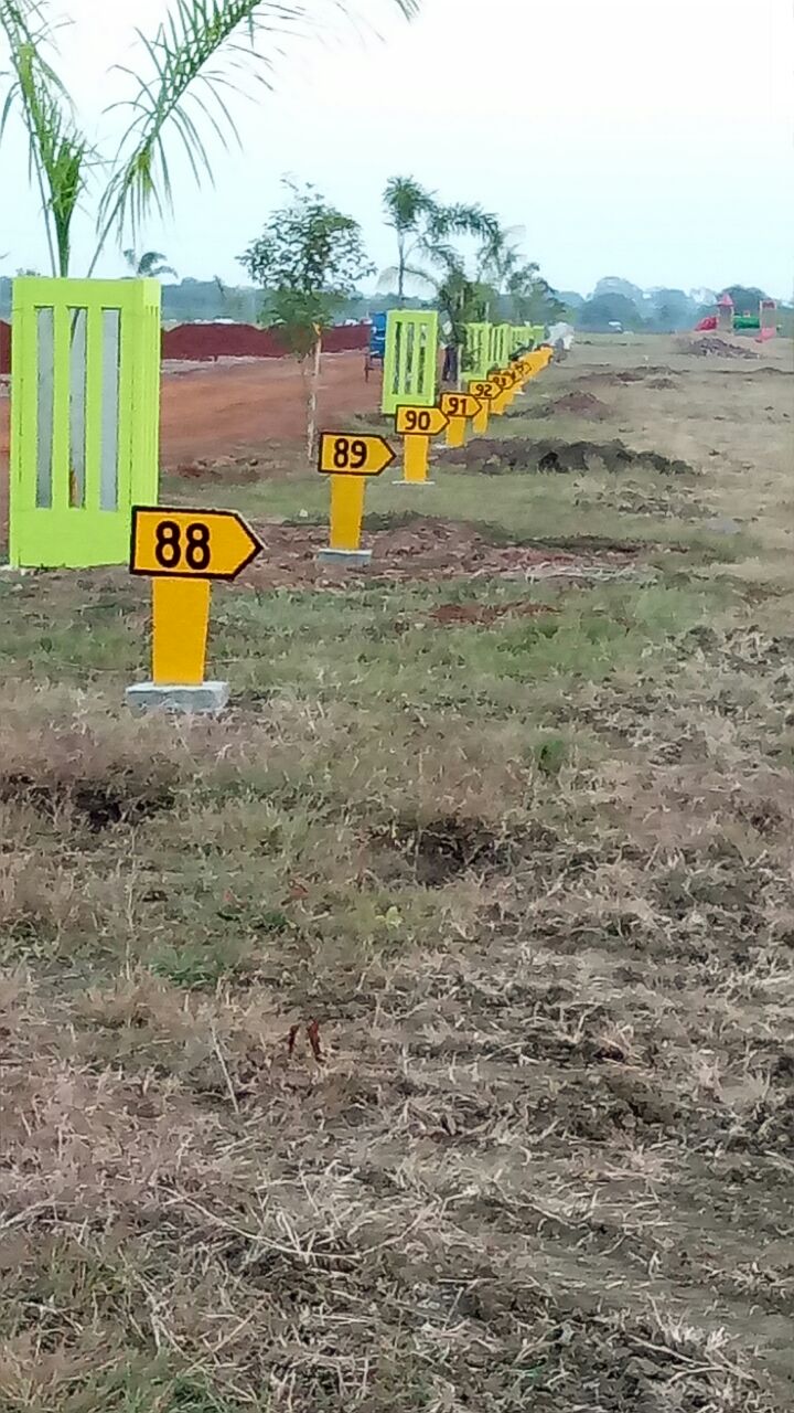 img-1